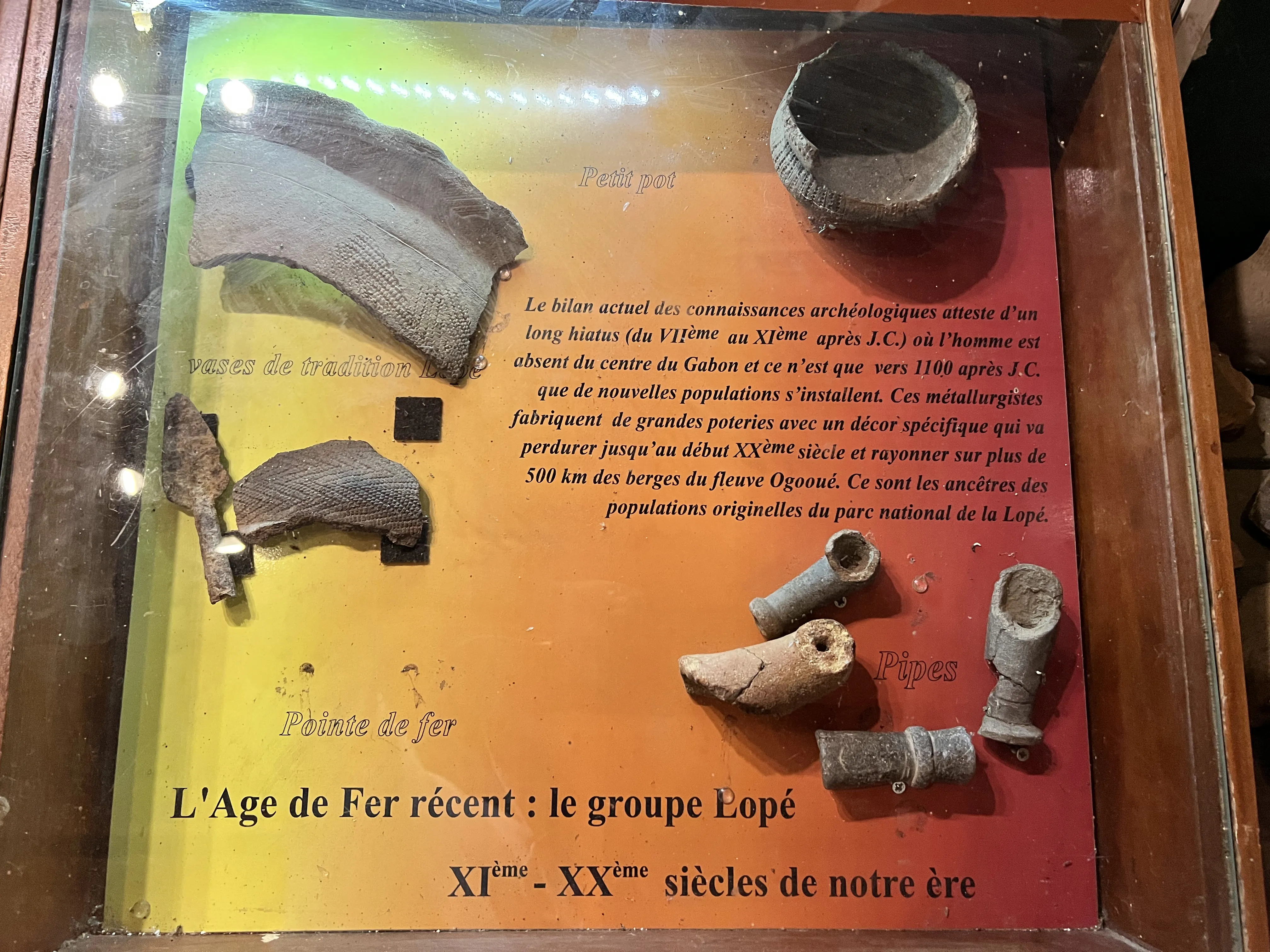 Squelette Éléphant