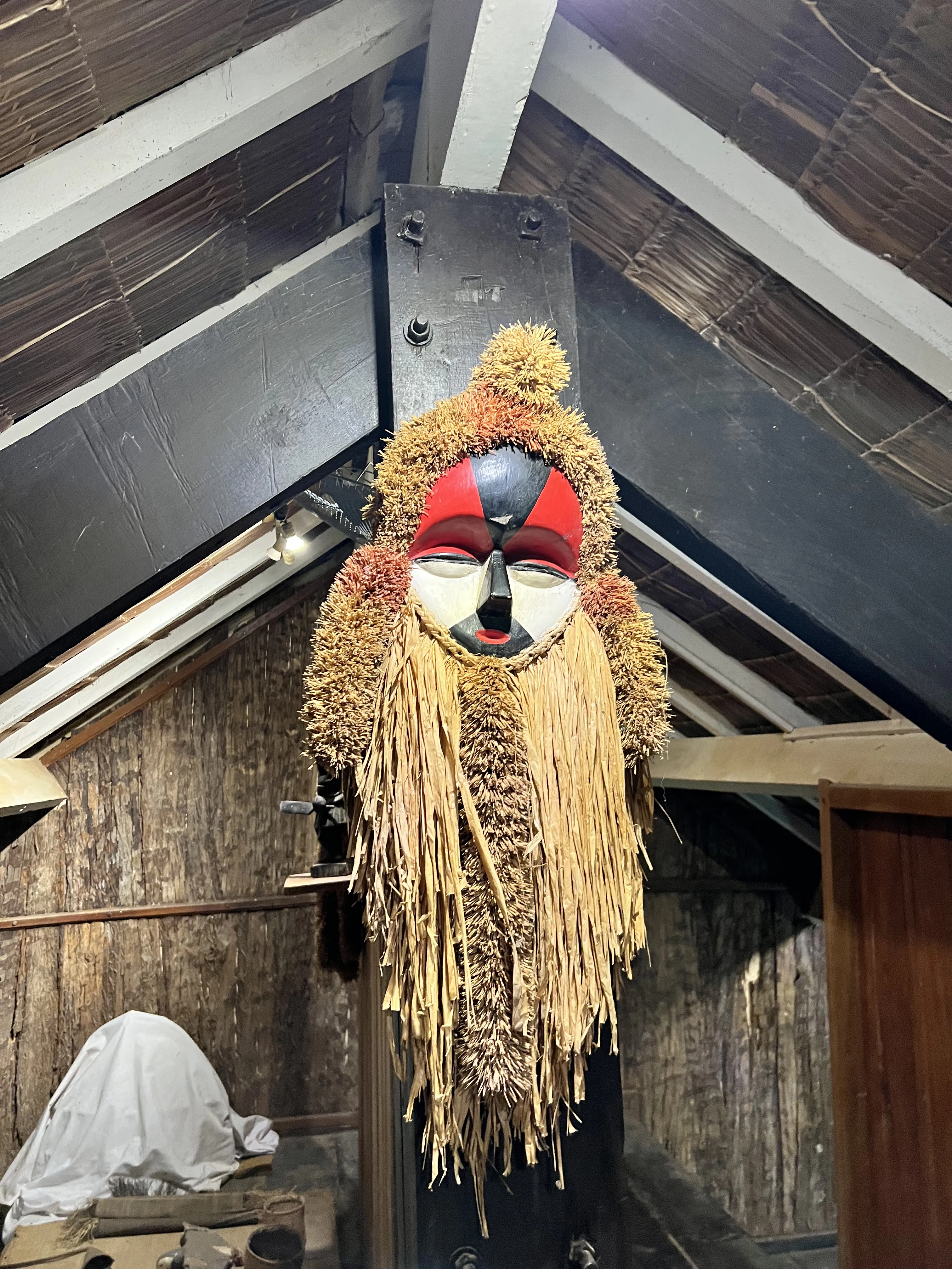 Primates de la Lopé